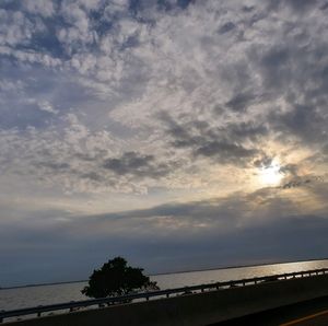 Meet your Posher, Randall